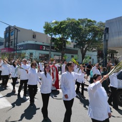 Domingo de Ramos 2023