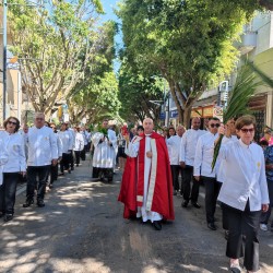 Domingo de Ramos 2023