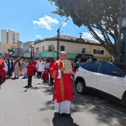 Domingo de Ramos 2023