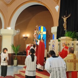 Sexta-Feira da Paixão do Senhor- Celebração da Paixão do Senhor - 15:00 - 06/04/2023 